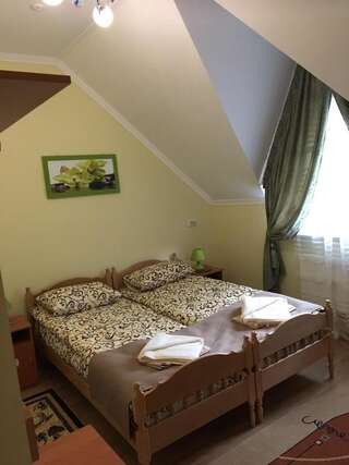 Отель AVALON Boryslav Стандартный двухместный номер с 1 кроватью или 2 отдельными кроватями-4